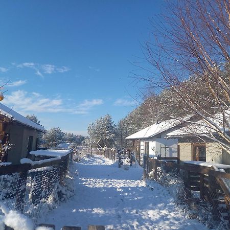 Chatki U Patki Lebieniec Exteriör bild