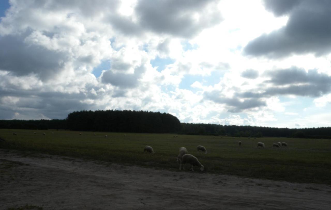 Chatki U Patki Lebieniec Exteriör bild