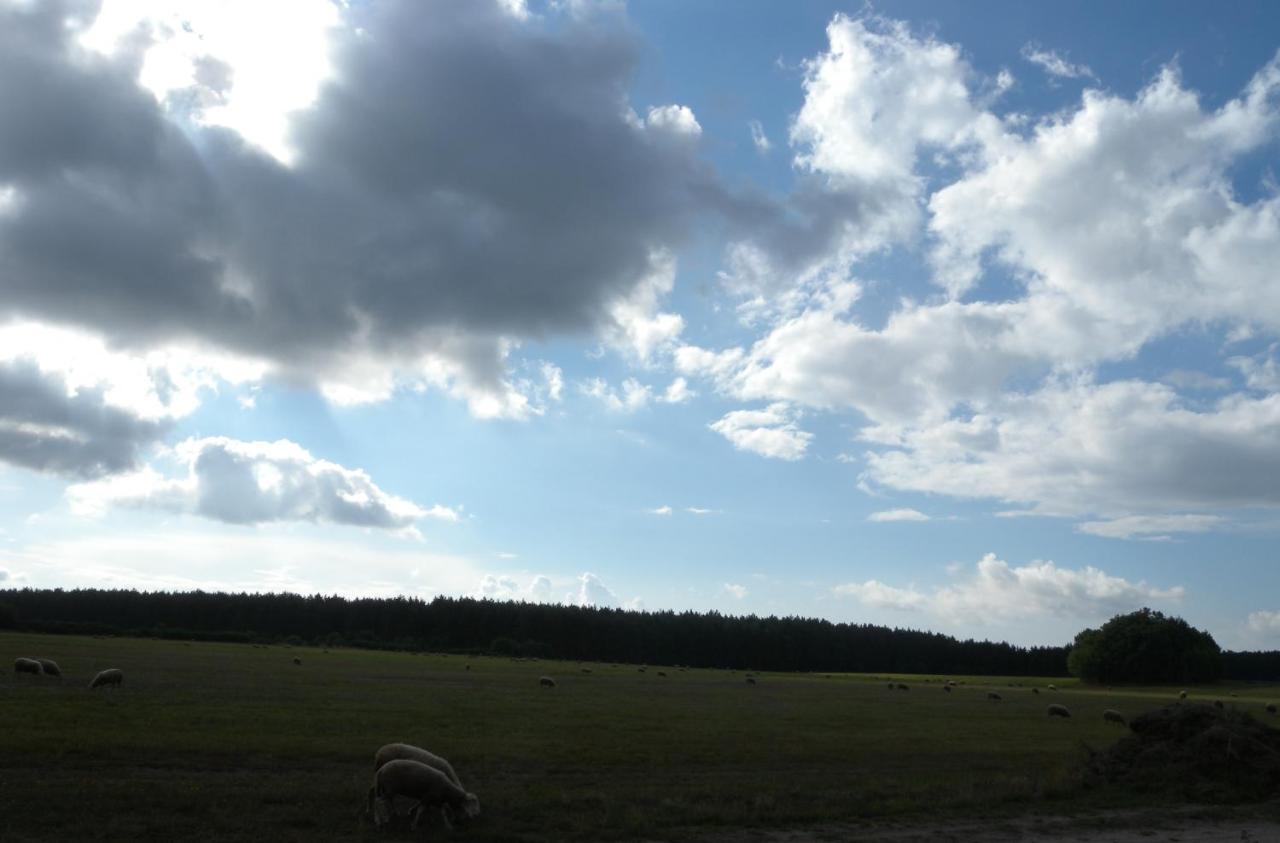 Chatki U Patki Lebieniec Exteriör bild